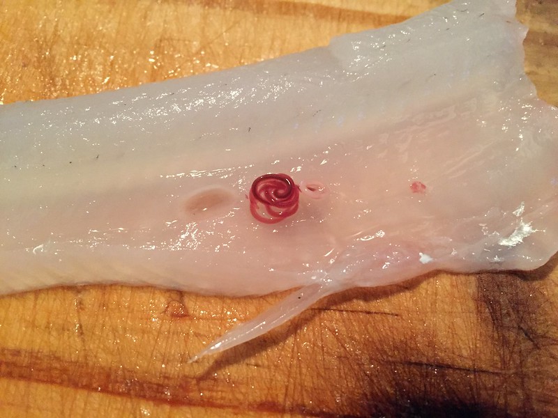 Se puede comer pescado con anisakis