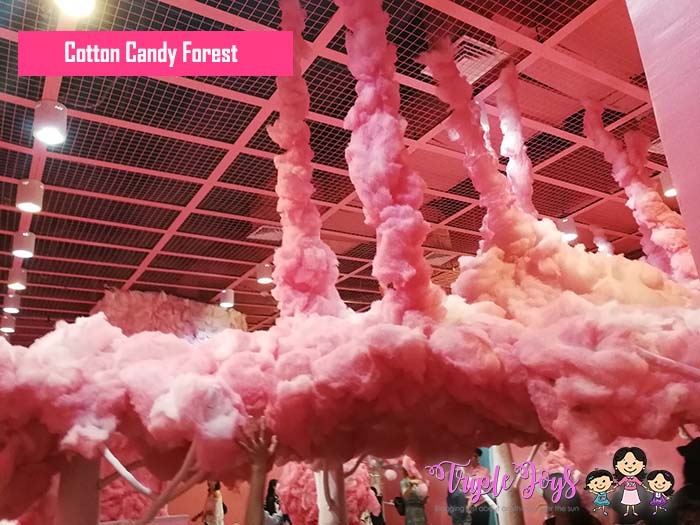 the-dessert-museum-cotton-candy-1