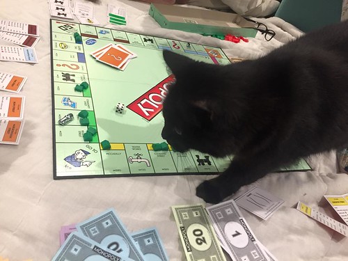 Delilah likes monopoly