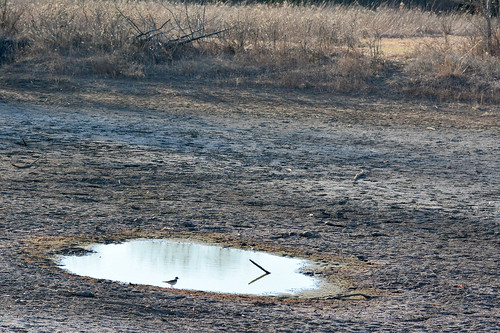 drought drypond empty pond chisholmcreekpark wichita kansas
