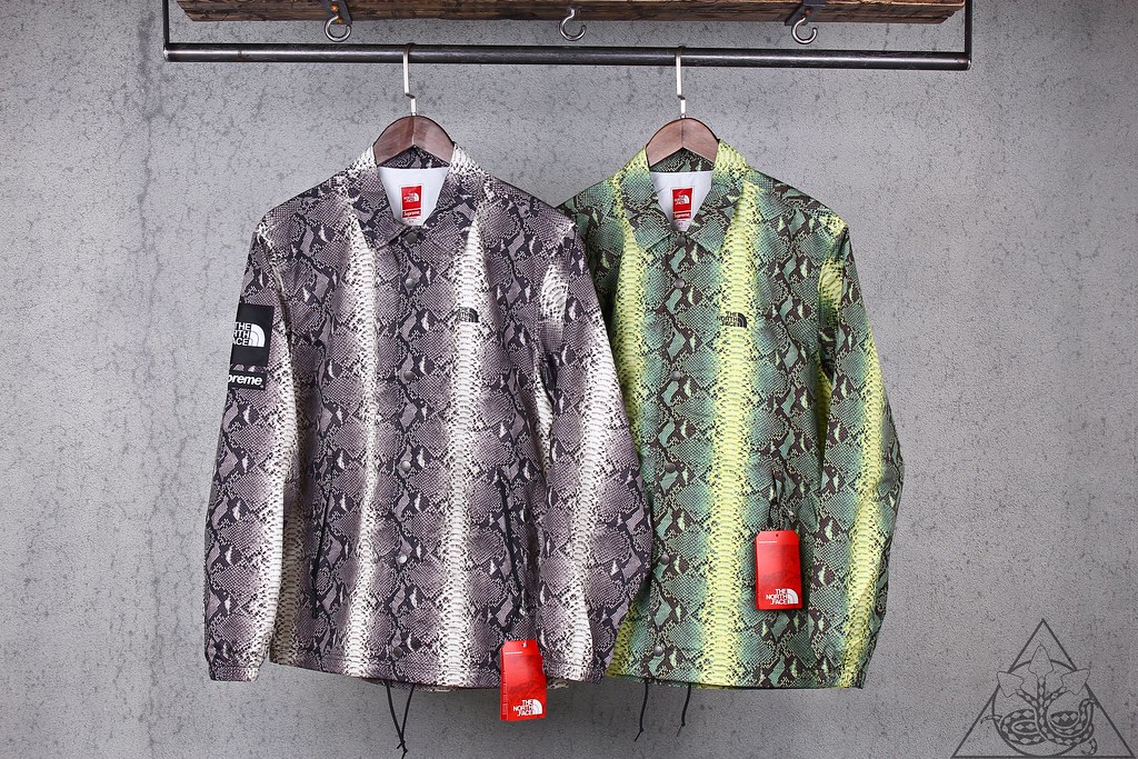Supreme The North Face Snakeskin Coaches Jacket-Hydra | Garment N