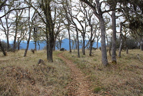 east applegate ridge trail jacksonville sterling ditch jack ash siskiyou mountains foothills ruch valley hiking oregon views