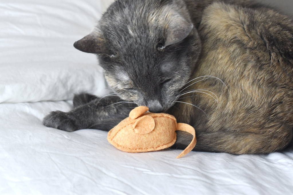 Catnip Mouse Cat Toy