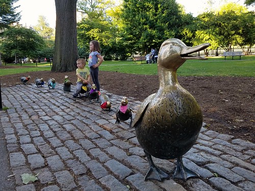 Make Way for Proud Ducklings
