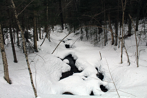 vermont spring snow nature outdoors