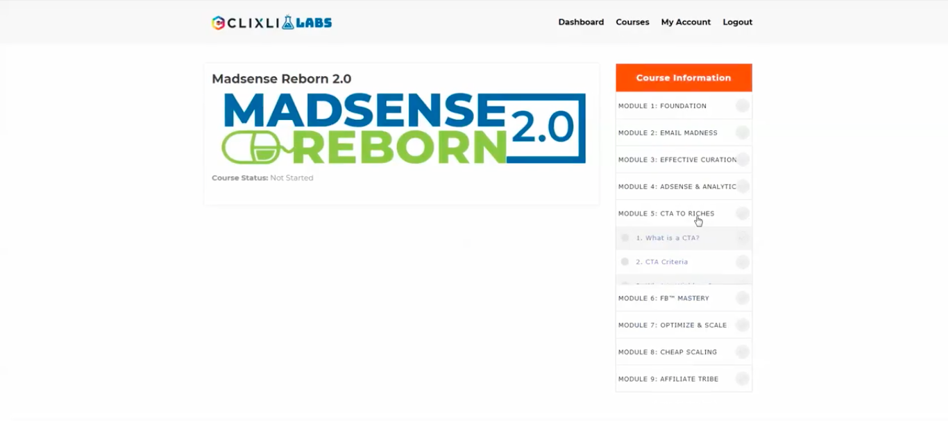 Madsense Reborn 2.0 Review