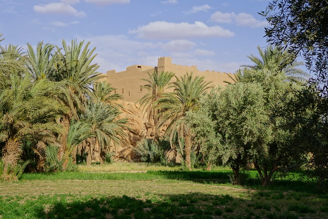 Marruecos: Mil kasbahs y mil colores. De Marrakech al desierto. - Blogs of Morocco - Imilchil, Lago Tislit, Agoudal, Cueva de Akhiam, Gargantas de Amellado. (52)