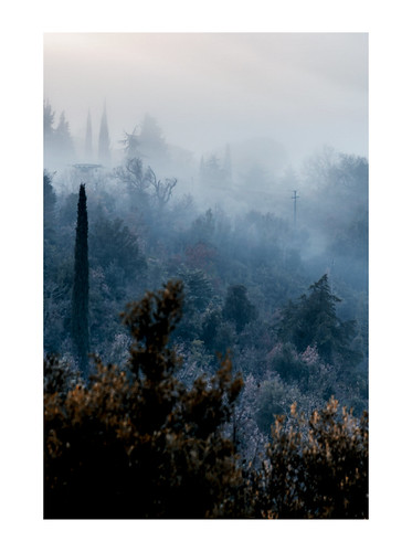 nikond800 photo photography landscape paesaggio italia ngc umbria corciano morning sunrise fog nebbia