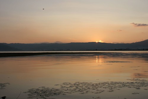 sunset lake japan geotagged 日本 nagano suwa 長野 okaya 長野県 geo:lat=360481728 mrhayata geo:lon=1381111511