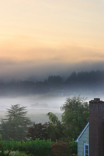 fog sunrise dreary boring eugeneoregon facebook hereswhyisleepin