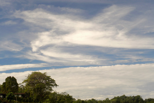 clouds landscape sky nubes trees nwn