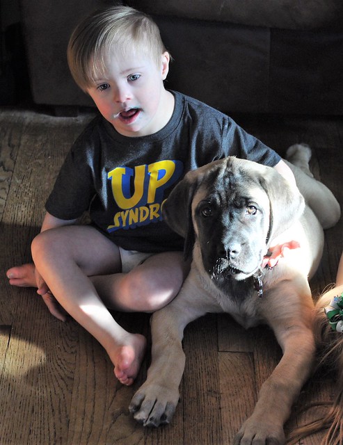 Best dogs for kids with special needs