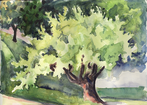 landscape urbanlandscape cedarfallsiowa tree 30x30directwatercolor2018 watercolor moleskinewatercolorsketchbook marciamilnerbrage summer