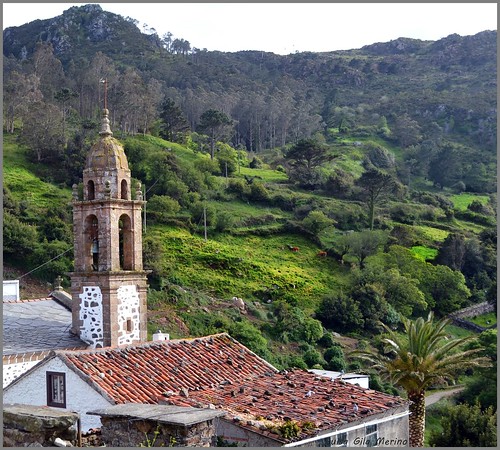 iglesia galicia pradera verde tejado campanario prados praderas bosque vacas airelibre piedras maisema landscape serenidad