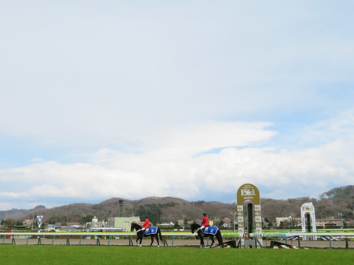 福島競馬場の走路と誘導馬