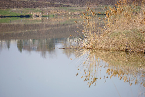 moaravlăsiei românia landscape peisaj nature reflections reflexii ilfov apă