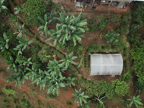 birdview farmlife amazonia landscape ecuador drone permatree
