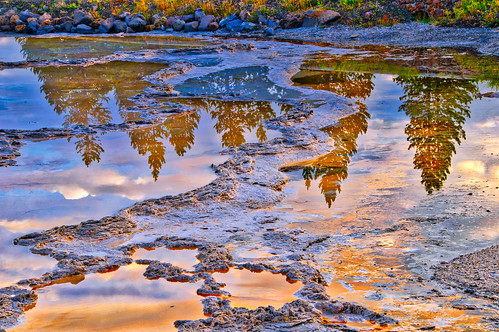 greatfountaingeyser wyoming yellowstone yellowstonenationalpark geyser pinetrees reflections sunrise sunset trees unitedstates us