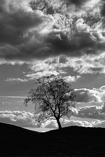 nature art composition balance places scotland contrasts landscape rawconversion dcraw light manipulated composite enfuse lightanddark photography equipment camera sunlight brightsunlight skyearth hdr pentaxk1 lens pentax28105mm emotion crazyart intimatelandscape flora trees digikam perthshire numbers toned monochrome blackandwhite pure elegance shapely simple sky clouds cloudappreciation awe contrejour appreciation amazement striking dramatic beautiful zen idyll moment imposing serifaffinityphoto moody airy raw turbulence drama transience one simplecomplex stark glenalmond unitedkingdom gbr