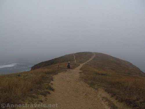 Trail to Chimney Rock Overlook in Point Reyes National Seashore, California