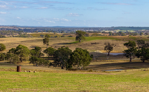 countryside landscape barossavalley australia ruleofthirds edenvalleylookout southaustralia photography hills canon1200d