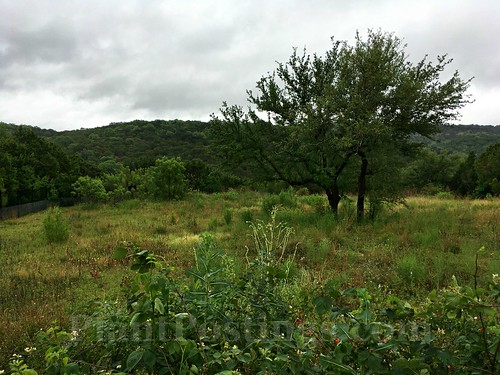 hill country 4