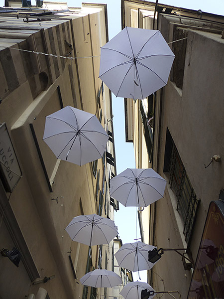 parapluies blancs