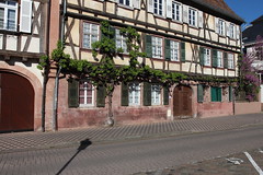 Shutters and loquets - Photo of Wissembourg