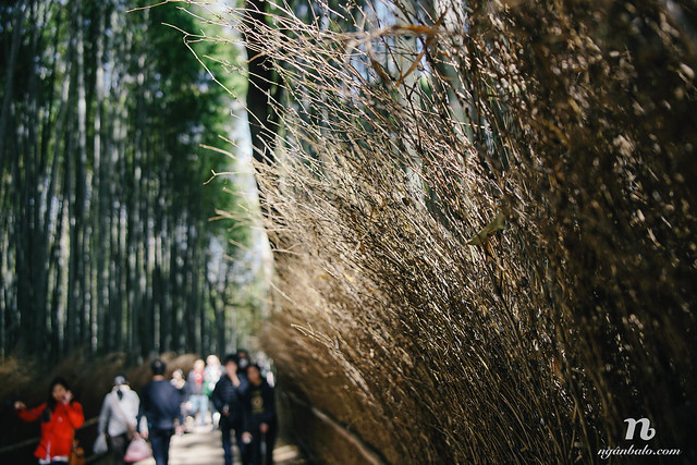 Du lịch bụi Nhật Bản (6): Hai ngày ở cố đô Kyoto - Fushimi Inari và Arashiyama