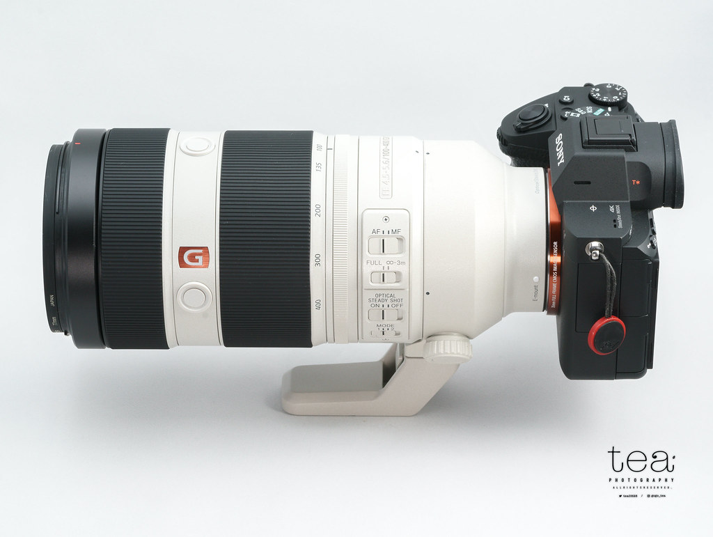 SONY FE 100-400mm F4.5-5.6 GM OSSのレビュー。撮影例とレンズ外観 