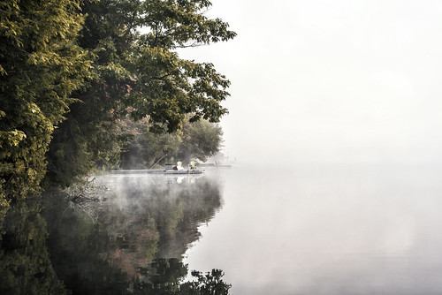 mist fog morning lake muskoka lakes ontario canada north america bruce tree reflection outdoor landscape