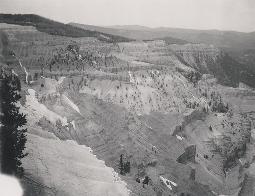 cedarbreaks national monument canyon geology utah film polaroid 664 automatic250