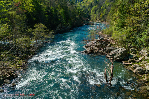 hiking howardmill lancing nationalpark nature obedwildscenicriver sonya6500 sonyimages tennessee unitedstates wildtn wildtennessee outdoors camera:make=sony exif:lens=epz18105mmf4goss geo:country=unitedstates exif:make=sony geo:lon=84717221666667 geo:city=lancing geo:location=howardmill geo:state=tennessee exif:isospeed=200 exif:aperture=ƒ95 geo:lat=36102003333333 exif:focallength=19mm camera:model=ilce6500 exif:model=ilce6500