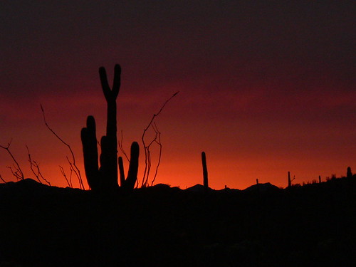 sunset landscape desert naturesfinest
