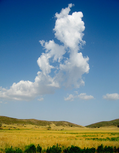 california clouds julian meadow cumulus