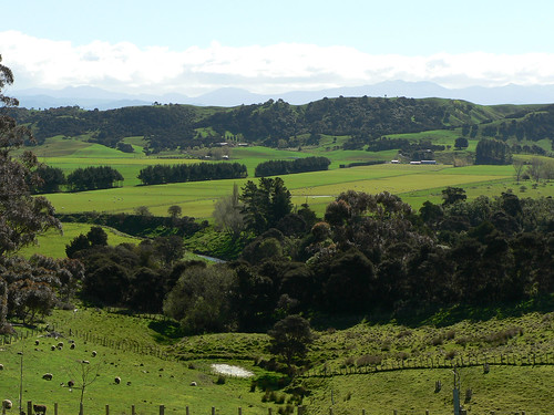 newzealand green geotagged scenery view sheep scenic hills valley wairarapa tekopi curiouskiwi utataview cavelandsrd geo:lat=41042074 geo:lon=175696621 brendaanderson curiouskiwi:posted=2006