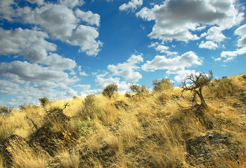 wood grass landscape ilovenature nikon rocks d70s hills nikkor sagebrush 18200mmf3556gvr