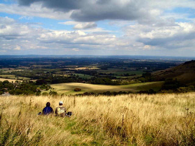 Looking down from Ditchling Beacon