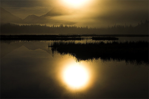 fall fog alaska sunrise landscape geotagged