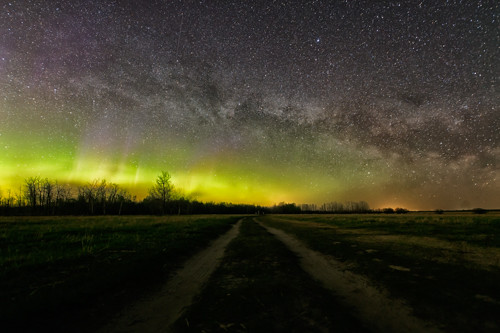 Prairie road at night