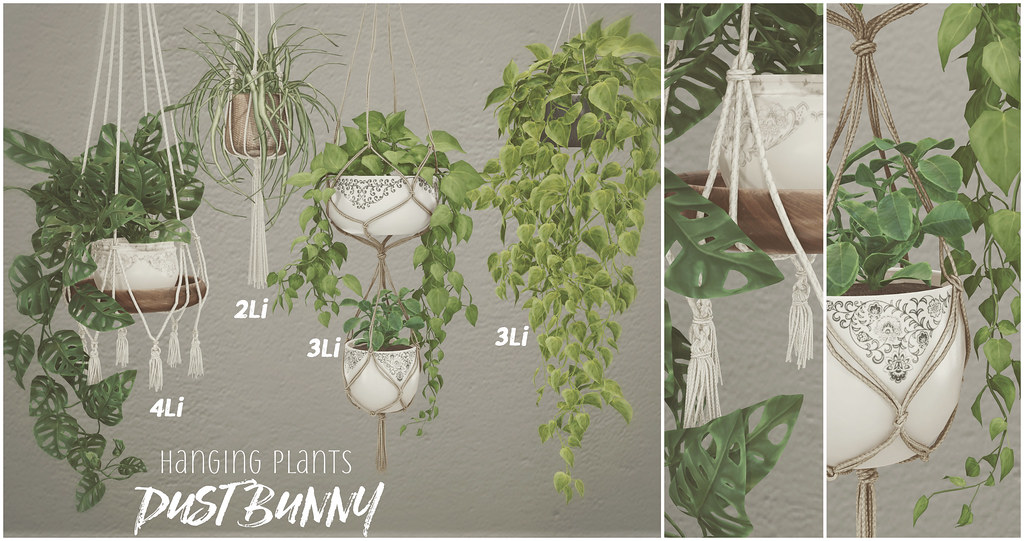 dust bunny hanging plants @ fameshed