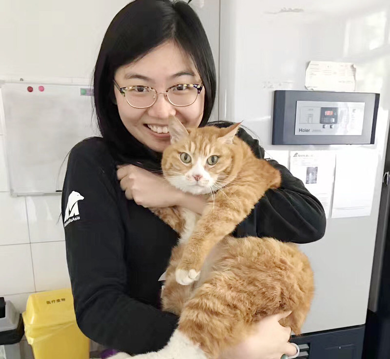 Veterinary Intern Chen Si Wen holding a cat in hand