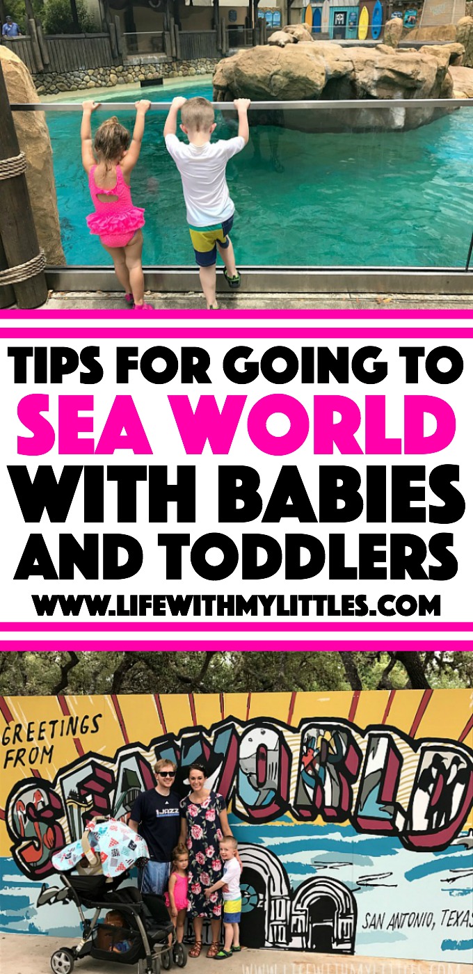 If you're planning a trip to Sea World San Antonio and will have a baby or toddler in tow, check out this helpful post all about tips for going to Sea World with a baby or toddler! So many great tips from a Sea World regular!