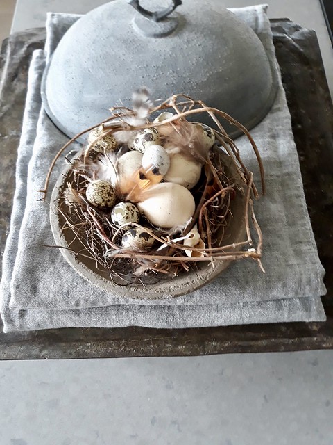 Nest met schalen, eitjes
