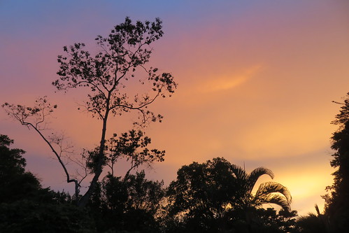 2018 sarapique costarica rainforest lodge sunset