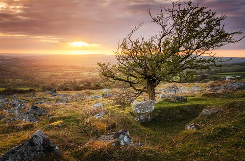 pew tor dartmoor devon sunset landscape landscapes landscapephotography tree trees sunsets cloud sky sun clouds plymouth tavistock canon efs1585mmisusm england eos eos80d greatbritain
