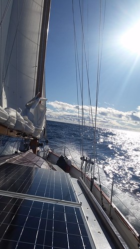 Sailing south Labrador