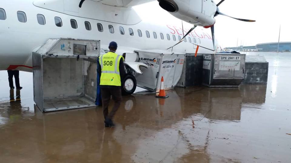 L'Aéroport International Blaise Diagne submergé par les fortes pluies, des avions cloués au sol et même détruits (1)