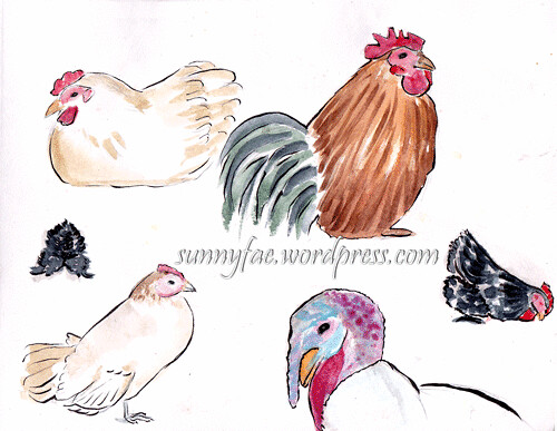 Chicken-sketches-&-Turkey