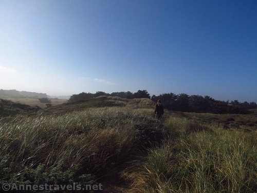 Walking the dunes at Manchester Beach State Park, California